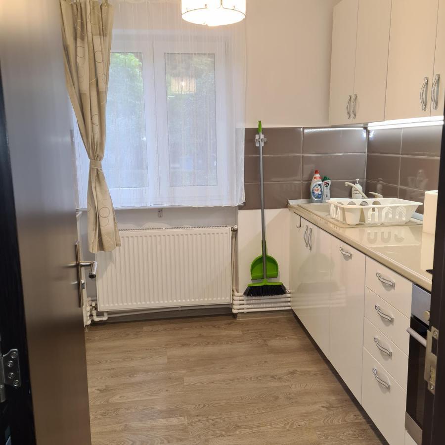 Apartament Alina デヴァ 部屋 写真