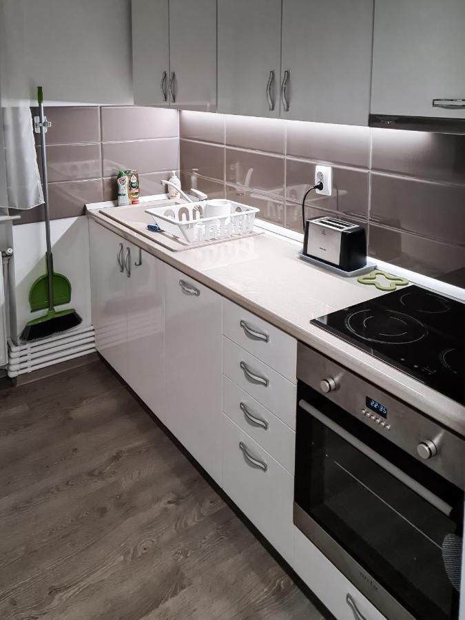 Apartament Alina デヴァ エクステリア 写真